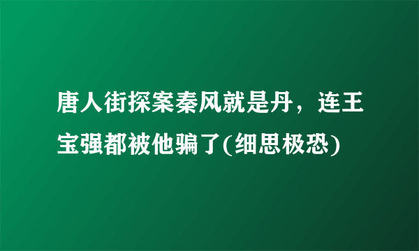 唐人街探案秦风就是丹，连王宝强都被他骗了(细思极恐)