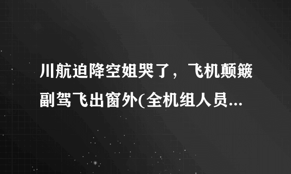 川航迫降空姐哭了，飞机颠簸副驾飞出窗外(全机组人员生死攸关)_飞外