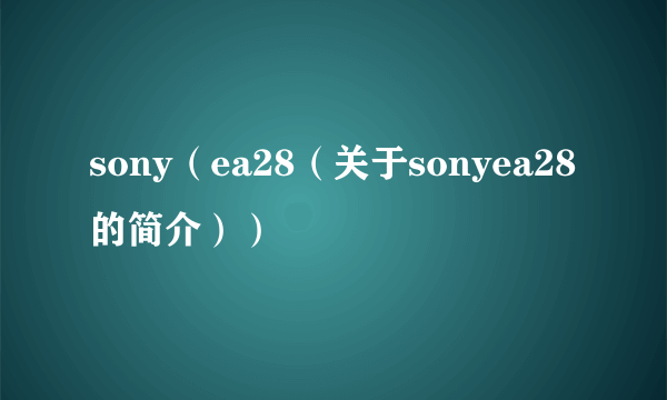 sony（ea28（关于sonyea28的简介））