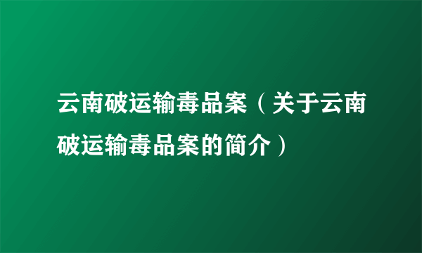 云南破运输毒品案（关于云南破运输毒品案的简介）