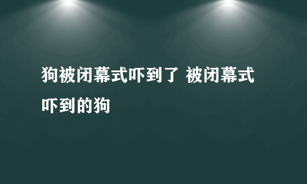 狗被闭幕式吓到了 被闭幕式吓到的狗