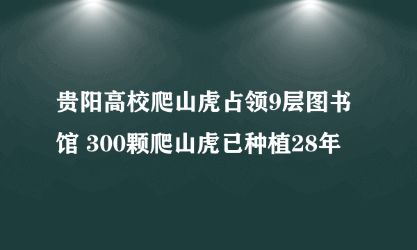 贵阳高校爬山虎占领9层图书馆 300颗爬山虎已种植28年