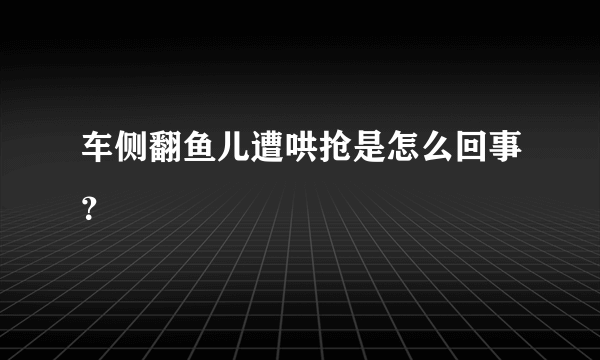 车侧翻鱼儿遭哄抢是怎么回事？