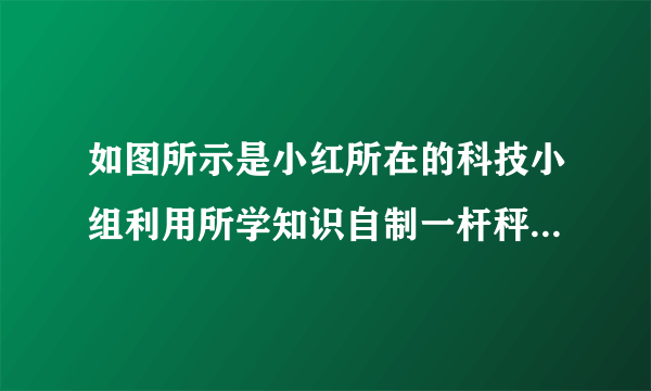 如图所示是小红所在的科技小组利用所学知识自制一杆秤（自重不计）。