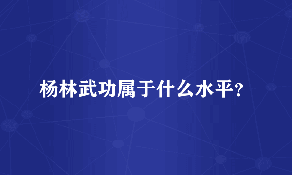 杨林武功属于什么水平？