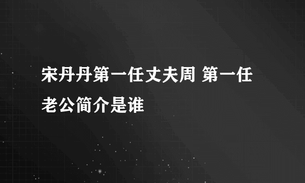 宋丹丹第一任丈夫周 第一任老公简介是谁