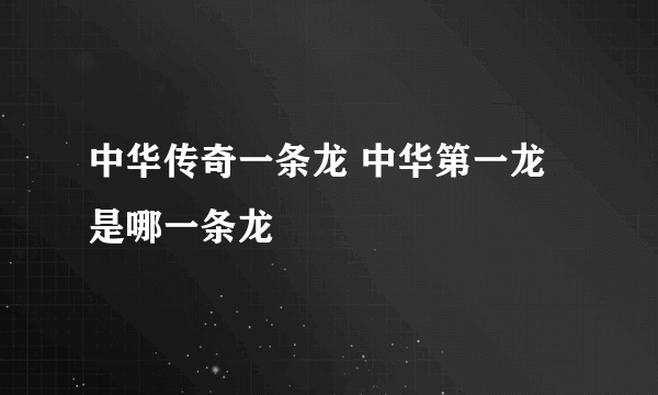 中华传奇一条龙 中华第一龙是哪一条龙