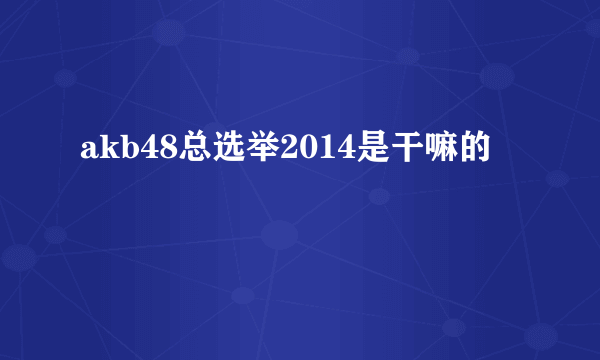 akb48总选举2014是干嘛的