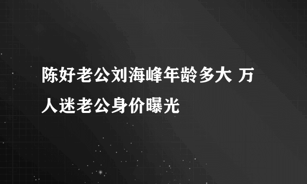 陈好老公刘海峰年龄多大 万人迷老公身价曝光