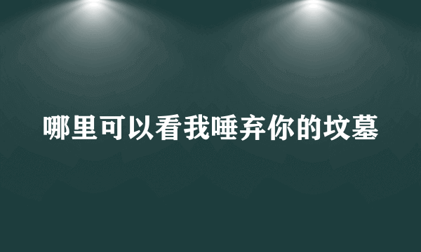 哪里可以看我唾弃你的坟墓