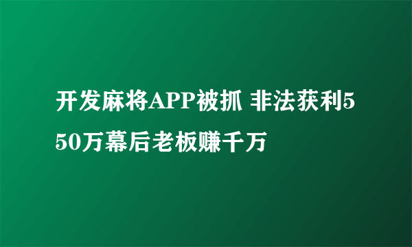 开发麻将APP被抓 非法获利550万幕后老板赚千万