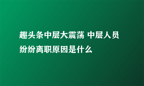 趣头条中层大震荡 中层人员纷纷离职原因是什么