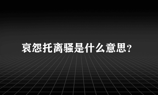 哀怨托离骚是什么意思？