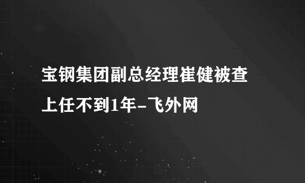 宝钢集团副总经理崔健被查 上任不到1年-飞外网