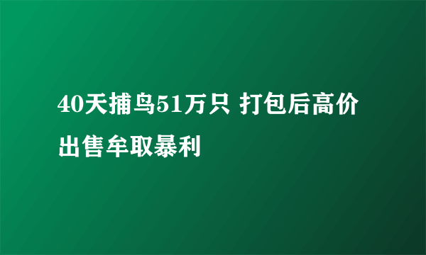 40天捕鸟51万只 打包后高价出售牟取暴利