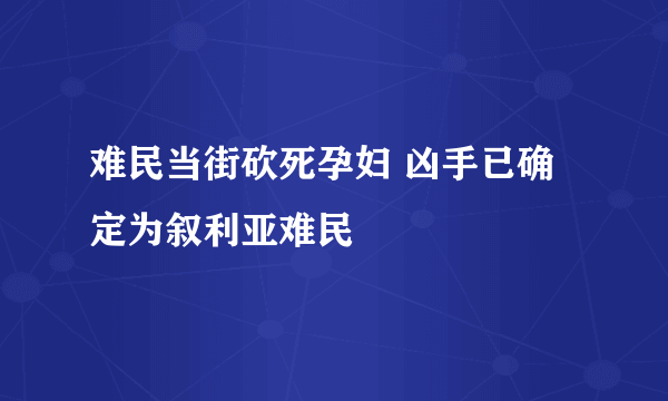 难民当街砍死孕妇 凶手已确定为叙利亚难民