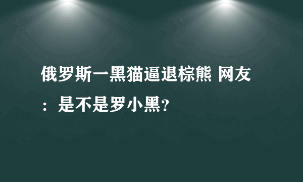 俄罗斯一黑猫逼退棕熊 网友：是不是罗小黑？