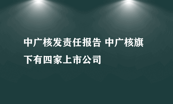 中广核发责任报告 中广核旗下有四家上市公司