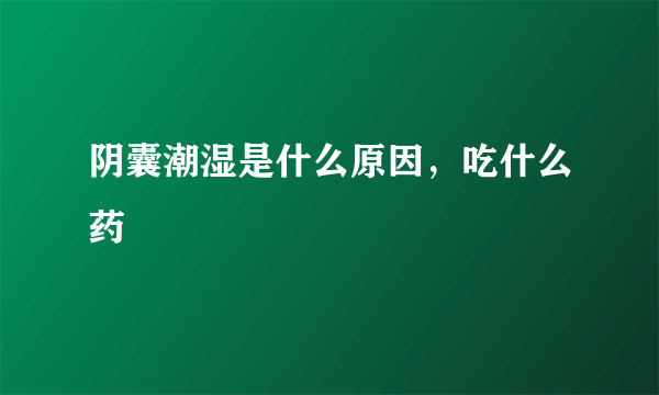 阴囊潮湿是什么原因，吃什么药