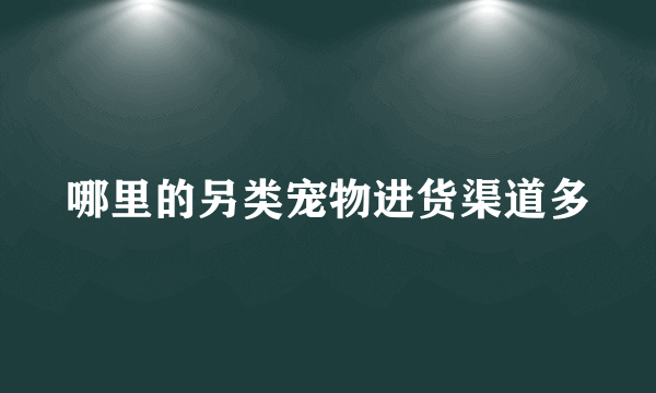 哪里的另类宠物进货渠道多