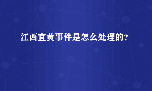 江西宜黄事件是怎么处理的？