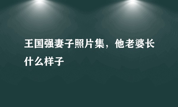 王国强妻子照片集，他老婆长什么样子