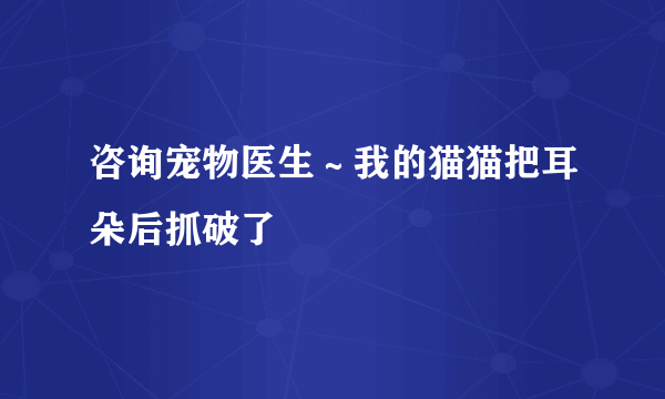 咨询宠物医生～我的猫猫把耳朵后抓破了