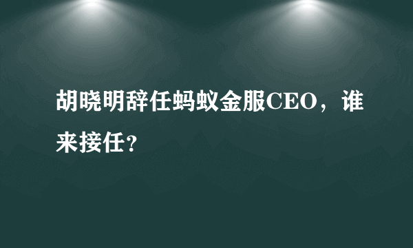 胡晓明辞任蚂蚁金服CEO，谁来接任？