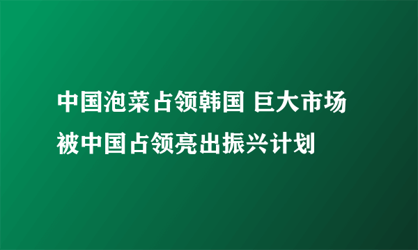 中国泡菜占领韩国 巨大市场被中国占领亮出振兴计划