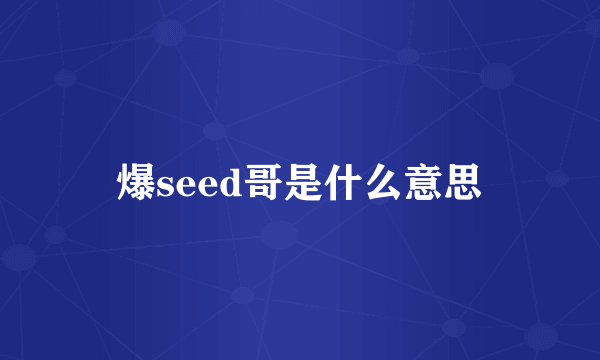 爆seed哥是什么意思