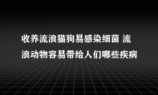 收养流浪猫狗易感染细菌 流浪动物容易带给人们哪些疾病