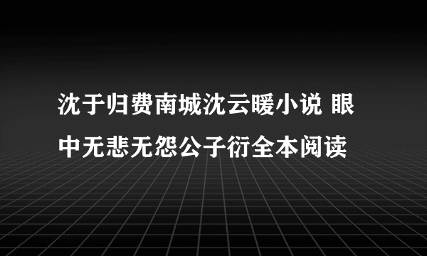 沈于归费南城沈云暖小说 眼中无悲无怨公子衍全本阅读