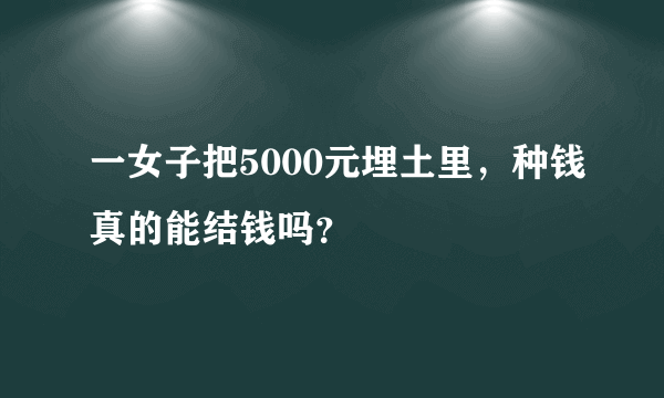 一女子把5000元埋土里，种钱真的能结钱吗？