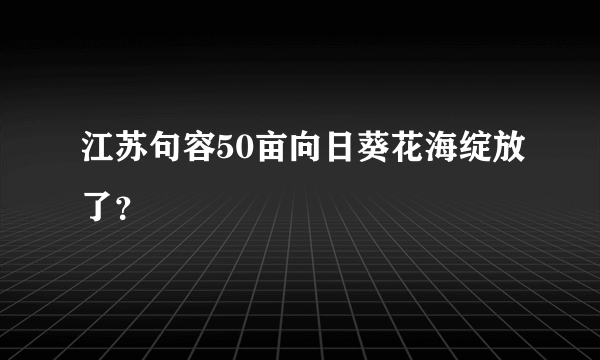 江苏句容50亩向日葵花海绽放了？