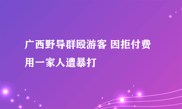 广西野导群殴游客 因拒付费用一家人遭暴打