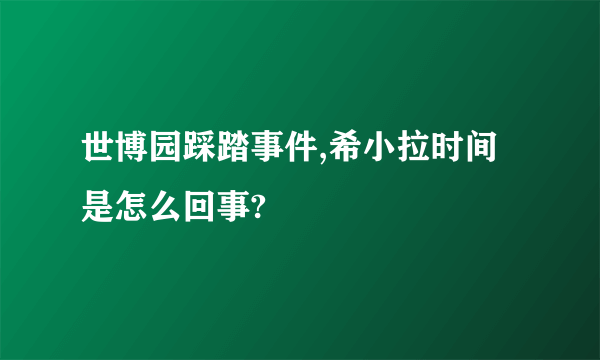 世博园踩踏事件,希小拉时间是怎么回事?