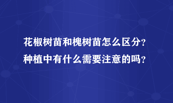 花椒树苗和槐树苗怎么区分？种植中有什么需要注意的吗？