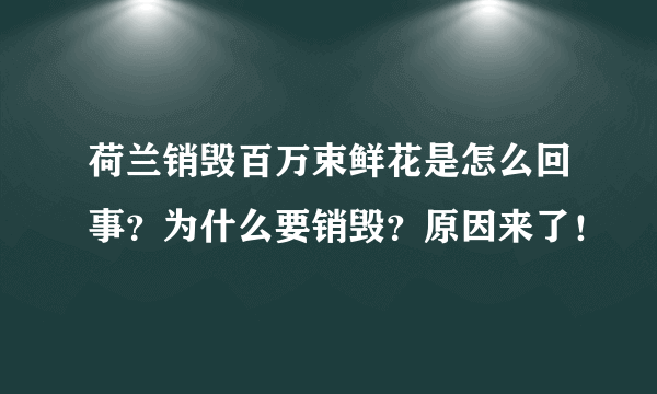 荷兰销毁百万束鲜花是怎么回事？为什么要销毁？原因来了！