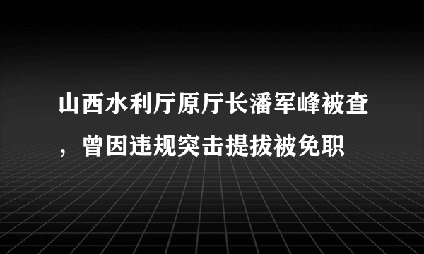 山西水利厅原厅长潘军峰被查，曾因违规突击提拔被免职