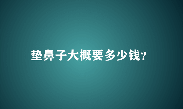 垫鼻子大概要多少钱？