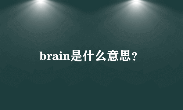 brain是什么意思？