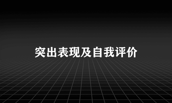 突出表现及自我评价