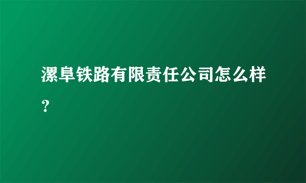 漯阜铁路有限责任公司怎么样？