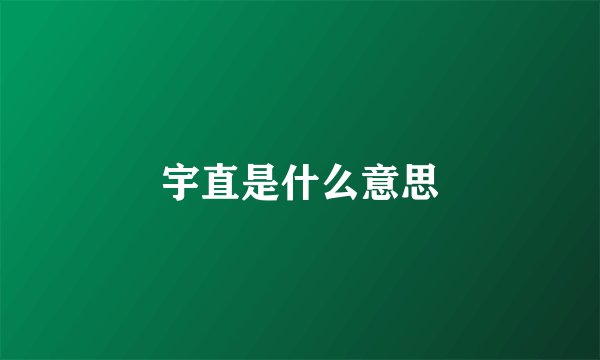 宇直是什么意思