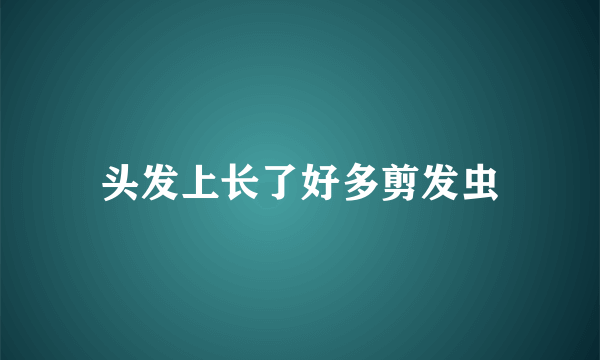 头发上长了好多剪发虫