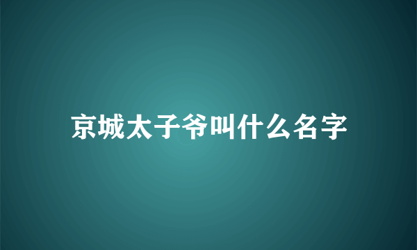 京城太子爷叫什么名字