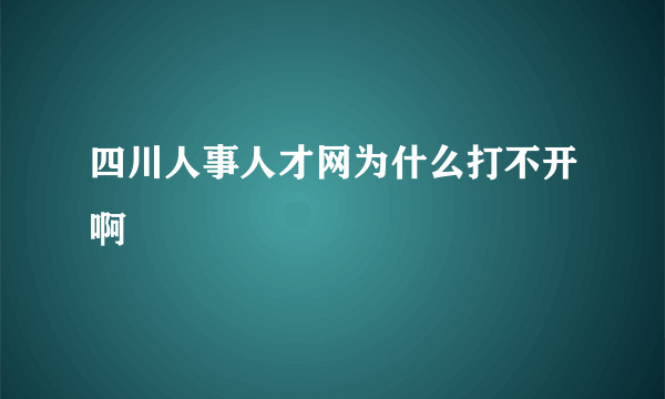 四川人事人才网为什么打不开啊