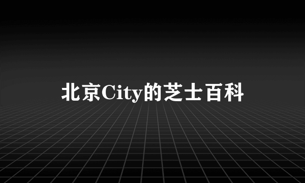 北京City的芝士百科