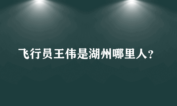 飞行员王伟是湖州哪里人？