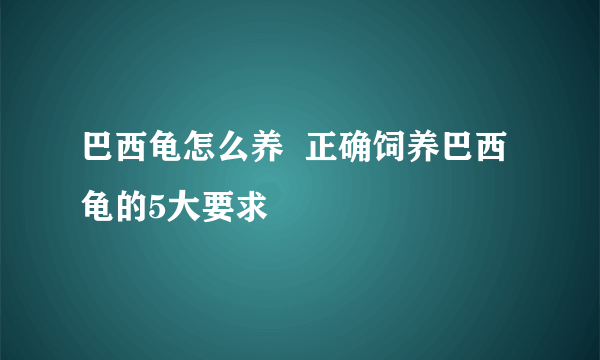 巴西龟怎么养  正确饲养巴西龟的5大要求